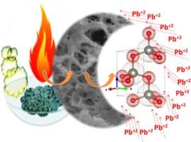 Cu-ZnO/CuO porous heterostructures for adsorption of lead ion