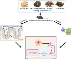 Soufeng sanjie formula alleviates osteoarthritis by inhibiting macrophage M1 polarization and modulating intestinal metabolites