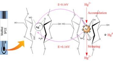 Mercury (II) sensor based on nanosilver/chitosan modified screen-printed carbon electrode