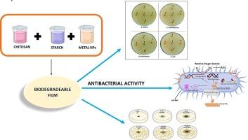 Harnessing the power of carbohydrates: Chitosan and starch-based nanocomposites for sustainable developments