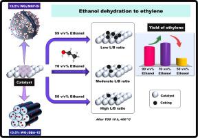 Effect of ethanol concentration on the catalytic performance of WO3/MCF-Si and WO3/SBA-15 catalysts toward ethanol dehydration to ethylene