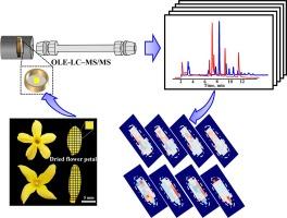 Spatial-resolved metabolome imaging of petals for Forsythia viridissima and Jasminum nudiflorum using online extraction (OLE) coupled to LC–Qtof-MS