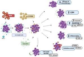 n-3 polyunsaturated fatty acids enhanced efficacy of cytarabine in iron-overloaded NALM-6 cells via apoptotic and oxidative pathways