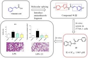 Design, synthesis and bioactivity evaluation of cinnamic acid derivatives as potential anti-inflammatory agents against LPS-induced acute lung injury