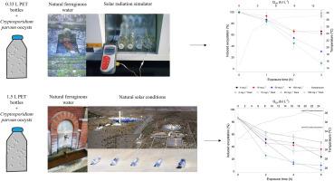 Addition of hydrogen peroxide to natural ferruginous water improves the efficacy of SODIS method against the waterborne pathogen Cryptosporidium