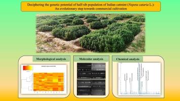 Integrative multivariate analysis of agro-chemical and genotypic traits in Indian catmint (Nepeta cataria L.) half-sib populations