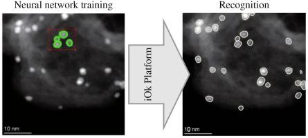 Deep machine learning for STEM image analysis