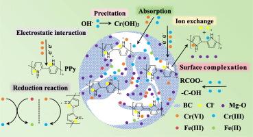 Insights into the removal mechanism of Cr(VI) from groundwater by polypyrrole modified sludge biochar