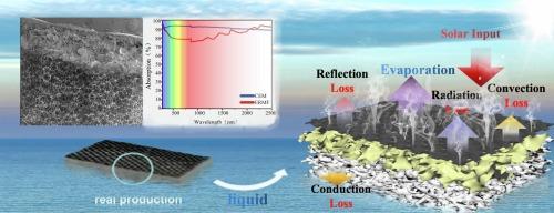 A self-floating carbon fiber-based evaporator with a novel sandwich-Janus structure for highly efficient solar-driven interfacial evaporation