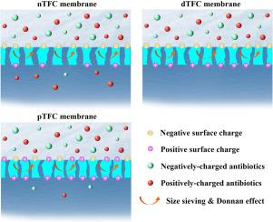 A comparative study of antibiotic treatment by different charged nanofiltration membranes