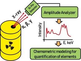 Intrinsic radioactivity in spent nuclear fuel – The way to X-ray fluorescence measurement: Lanthanide quantification case study