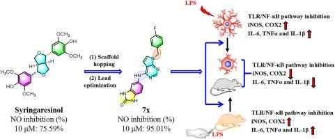 Design and synthesis of novel derivatives of bisepoxylignans as potent anti-inflammatory agents involves the modulation of the M1/M2 microglia phenotype via TLR4/NF-κB signaling pathway