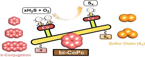 Theoretical insights into H2S desulfurization: Catalysis by binuclear cobalt phthalocyanine