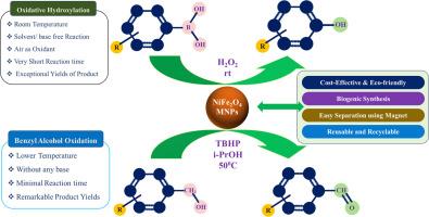 Green synthesis of template-free NiFe2O4 nanoparticles: A promising sustainable catalyst for efficient benzaldehyde and phenolic motifs development