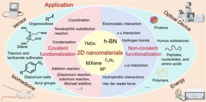 Surface functionalization of two-dimensional nanomaterials beyond graphene: Applications and ecotoxicity