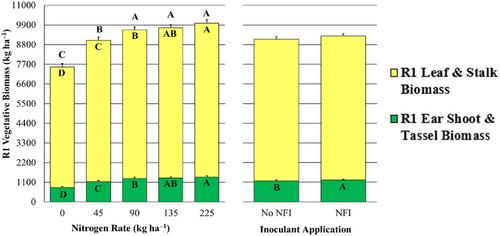 Soil inoculation with nitrogen-fixing bacteria to supplement maize fertilizer need