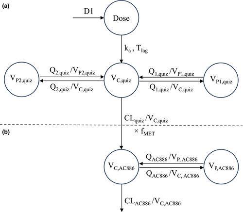 Population pharmacokinetic analysis of quizartinib in patients with newly diagnosed FLT3-internal-tandem-duplication-positive acute myeloid leukemia