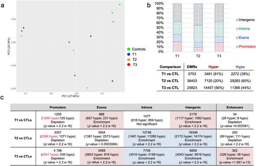 Epigenetic Modeling of Jumping Translocations of 1q Heterochromatin in Acute Myeloid Leukemia After 5'-Azacytidine Treatment