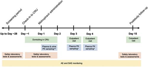 Assessment of pharmacokinetics and tolerability following single-dose administration of molnupiravir in participants with hepatic or renal impairment