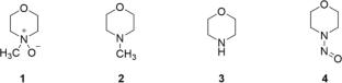 Monitoring the formation of N-nitrosamines in lyocell plants-pitfalls and solutions