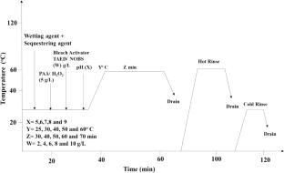 Sustainable bleaching of Juton fabric with peracetic acid and bleach activators