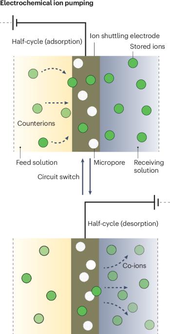 Electrochemical ion pumping