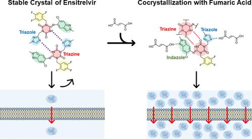 Cocrystallization Enables Ensitrelvir to Overcome Anomalous Low Solubility Caused by Strong Intermolecular Interactions between Triazine–Triazole Groups in Stable Crystal Form