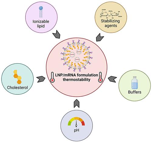 Development of Thermally Stable mRNA-LNP Delivery Systems: Current Progress and Future Prospects