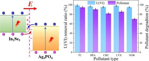 High-efficient U(VI) removal from organic wastewater through polarization electric field enhanced photocatalysis with In2Se3@Ag3PO4 heterojunction