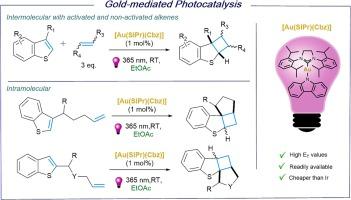 Access to cyclobutane–fused dihydrobenzothiophenes via gold–mediated photocatalyzed [2+2]–cycloaddition reactions