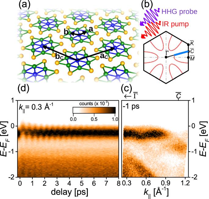 Mapping the nonequilibrium order parameter of a quasi-two dimensional charge density wave system