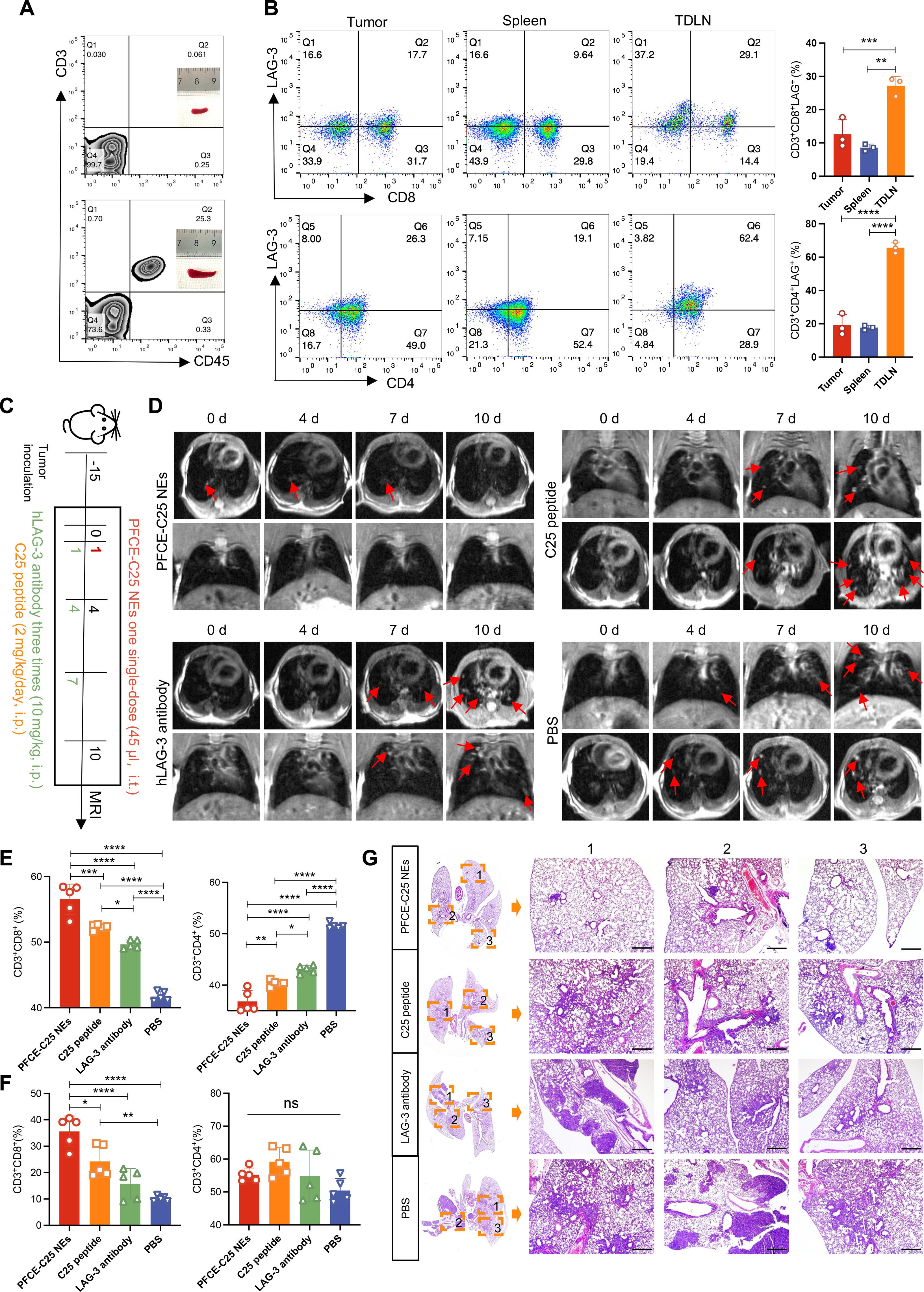 Respiratory delivery of single low-dose nebulized PFCE-C25 NEs for lymphatic transport and durable stimulation of antitumor immunity in lung cancer