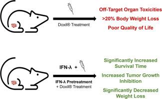 Exploiting a type III interferon response to improve chemotherapeutic safety and efficacy