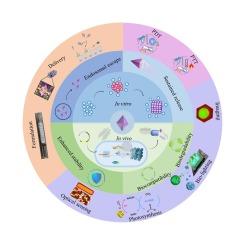 Biopharmaceutical drug delivery and phototherapy using protein crystals