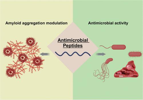 Interplay between Antimicrobial Peptides and Amyloid Proteins in Host Defense and Disease Modulation