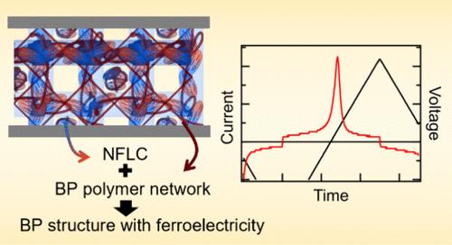 Blue Phase-Polymer-Templated Ferroelectric Nematic Liquid Crystal