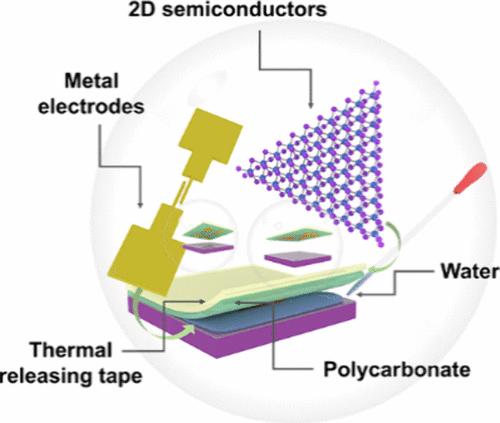High-Fidelity Transfer of 2D Semiconductors and Electrodes for van der Waals Devices