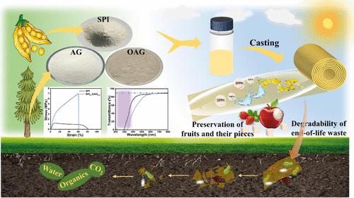 Preparation of Highly Transparent, Mechanically Enhanced, Antioxidant, and Biodegradable SPI/OAG Films via Synergistic Schiff Base Chemistry and Hydrogen Bonding Interactions