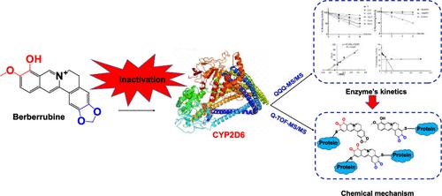 Inactivation of CYP2D6 by Berberrubine and the Chemical Mechanism