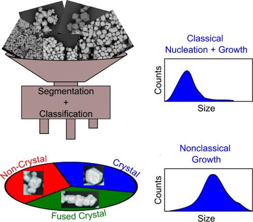 Microcrystal Growth Pathways Investigated with Machine Learning Segmentation and Classification in Scanning Electron Microscopy