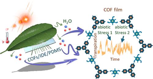 Wearable Sensor Based on Covalent Organic Framework Humidity Films for Long-Term Monitoring of Tomato Physiology Under Abiotic Stress