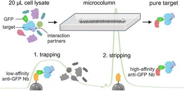 A nanobody-based microfluidic chip for fast and automated purification of protein complexes†