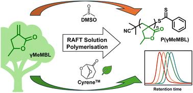 RAFT solution polymerisation of bio-based γ-methyl-α-methylene-γ-butyrolactone monomer in DMSO and Cyrene†