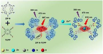 A novel light-harvesting ZIF-9-TCPP as a promising FRET-based ratiometric fluorescence probe for sperm mobility†