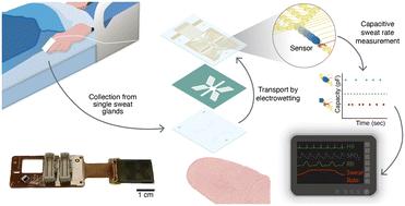 Discretised microfluidics for noninvasive health monitoring using sweat sensing†