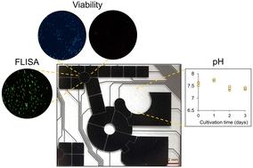 A multimodal digital microfluidic testing platform for antibody-producing cell lines†