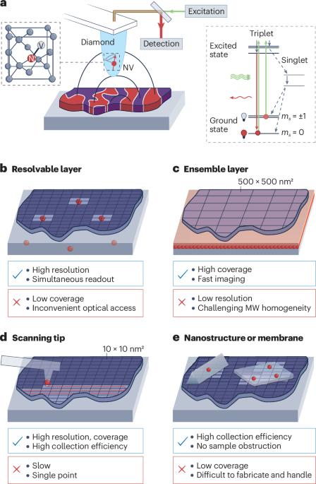 Nanoscale diamond quantum sensors for many-body physics