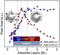 Intact water adsorption on Co(0001) at 100 K: transition from ordered bilayer to amorphous ice structures†