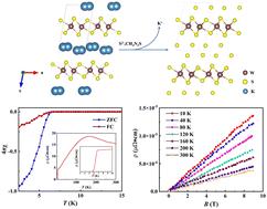 Topochemical synthesis of anion-intercalated transition metal dichalcogenide superconductor S0.66(2)WS2†