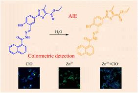 An AIE probe for simultaneous monitoring of endogenous and exogenous hypochlorite and Zn2+ at dual channels in living cells†